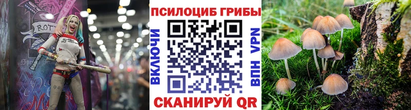 Галлюциногенные грибы Magic Shrooms  Томмот 